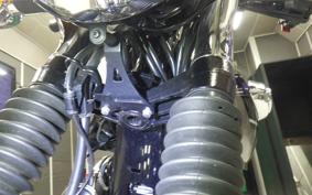 KAWASAKI W800 2024 EJ800E