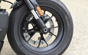 HARLEY Sprotster S 2021 ZC4