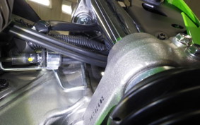 KAWASAKI KLX230S 2010 LX232A