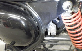 KAWASAKI ESTRELLA RS 2018 BJ250A