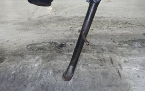 SUZUKI ST250 2016 NJ4AA