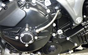 BMW K1300R 2010