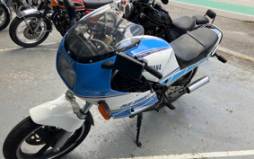 YAMAHA RZ250R 29L