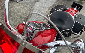 HARLEY FLI HYDRA-GLIDE 2024 BCK