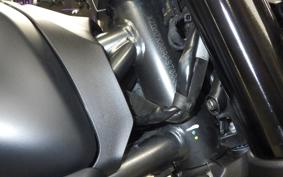 DUCATI SCRAMBLER ICON 2025