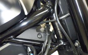 HUSQVARNA SVARTPILEN 250 2026