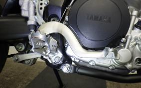 YAMAHA WR250X 2019 DG15J