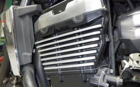 KAWASAKI ZRX1200 D 2009 ZRT20D