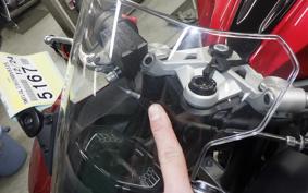 TRIUMPH TRIUMPH DAYTONA660 2024