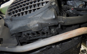 HONDA ZOOMER 2010 AF58