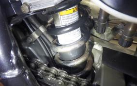 KAWASAKI SUPER SHERPA 2022 KL250G