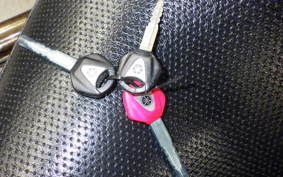 YAMAHA DRAGSTAR 1100 2006 VP13J