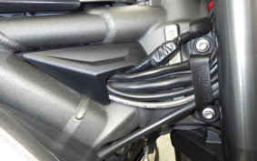 TRIUMPH STREET TRIPLE RS 2019