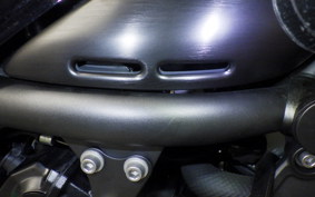 KAWASAKI Z900RS CAFE 2023 ZR900K