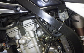 KAWASAKI KLX250 2024 LX250E