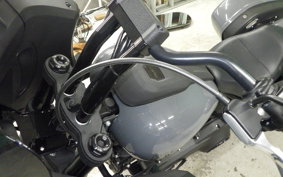 HARLEY FXLRST1920 2022