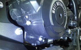 OTHER +MUTT DRK-01 250 1999