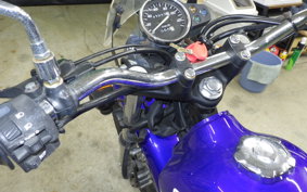 HONDA FTR223 2006 MC34