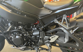 HARLEY FLHXSE CVO 2022 PXL