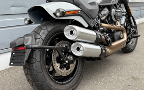 HARLEY  HARLEY FXFBS 2024 YLK