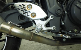 YAMAHA YZF-R25 2008 RG10J