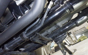 HARLEY XL883N 2021