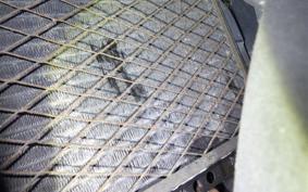 SUZUKI GSX-R250 GJ72A