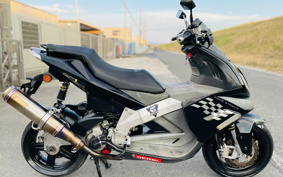 OTHER DERBI GP1 250 RACING VTHPT1A1A