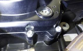 HARLEY X500 2024