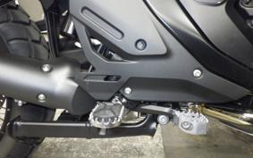 BMW R1300GS Adventure 2026