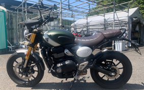 TRIUMPH SCRAMBLER 400X 2025 T147Y4