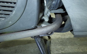 HONDA LEAD 110 2025 JF19