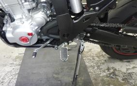 YAMAHA WR250X 2009 DG15J