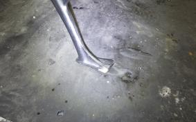 KAWASAKI ZEPHYR 750 2005