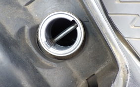 HONDA FORZA 250 S MF06