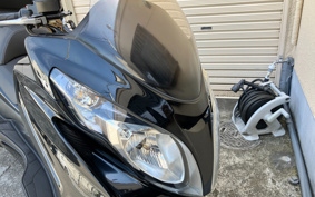 SUZUKI SKYWAVE 250S-1 CJ44A