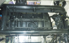 OTHER THUNDER 250 2025