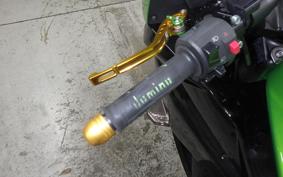 KAWASAKI NINJA 1000 A 2014