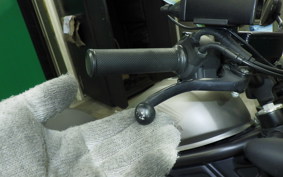 HONDA REBEL 250 A 2009 MC49