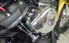 HARLEY FXBB1750 2018