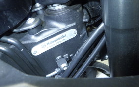 KAWASAKI NINJA 1000SX 2023