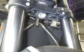 TRIUMPH STREET TRIPLE RS 2020