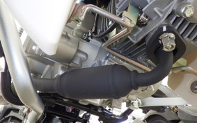 HONDA C50 SUPER CUB 1999 AA09