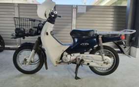 HONDA SUPER CUB110 JA10