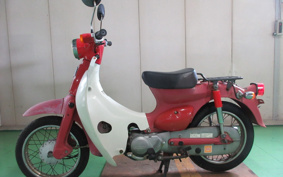 HONDA LITTLE CUB C50