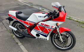YAMAHA RZ250RR 29L