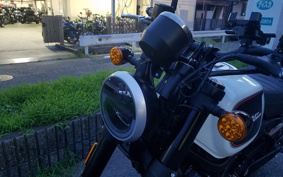 HARLEY X500 2023 W5B