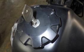 SUZUKI DJEBEL 200 (DR200SE) SH42A