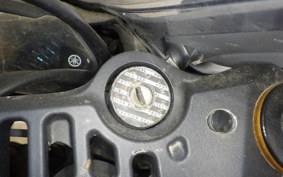 YAMAHA YZF-R25 A RG43J