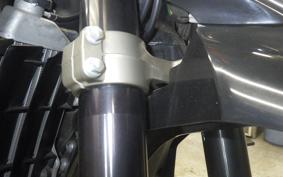 YAMAHA WR250X 2014 DG15J